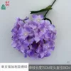 Hortensia búlgara individual XQ, violeta claro