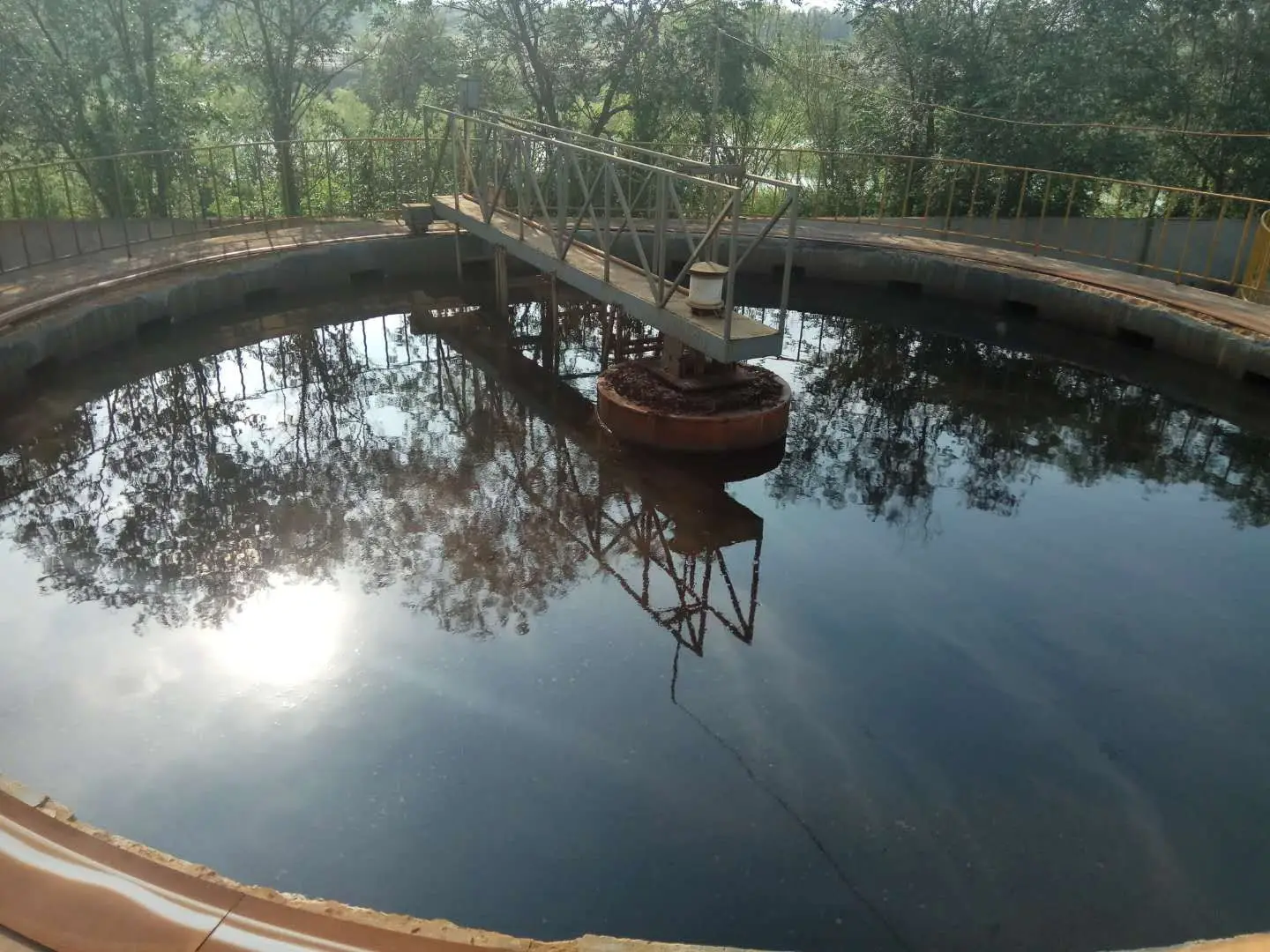 Sewage Sludge Treatment Sludge Scraper for Primary Secondary Sedimentation Clarifier tank