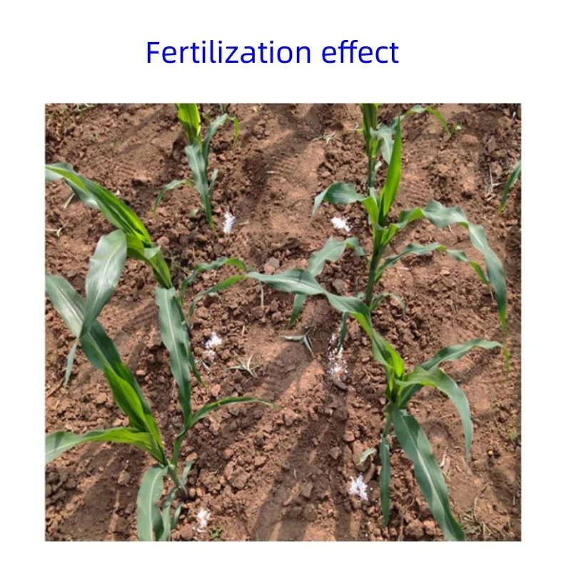 Farm Corn fertilizer applicator hand agriculture equipment and tools fertilizer spreaders