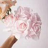 Pink-2