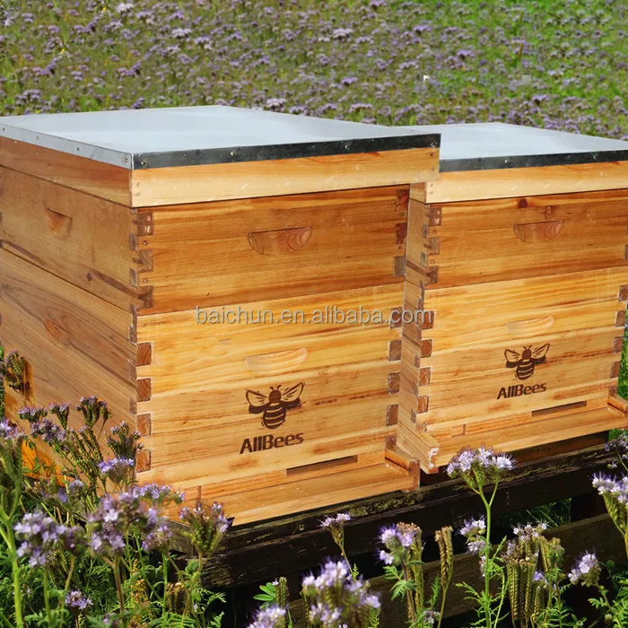 Bee Hive Kits 20 Frames Complete Langstroth Bee House With 1 Deep 1 ...