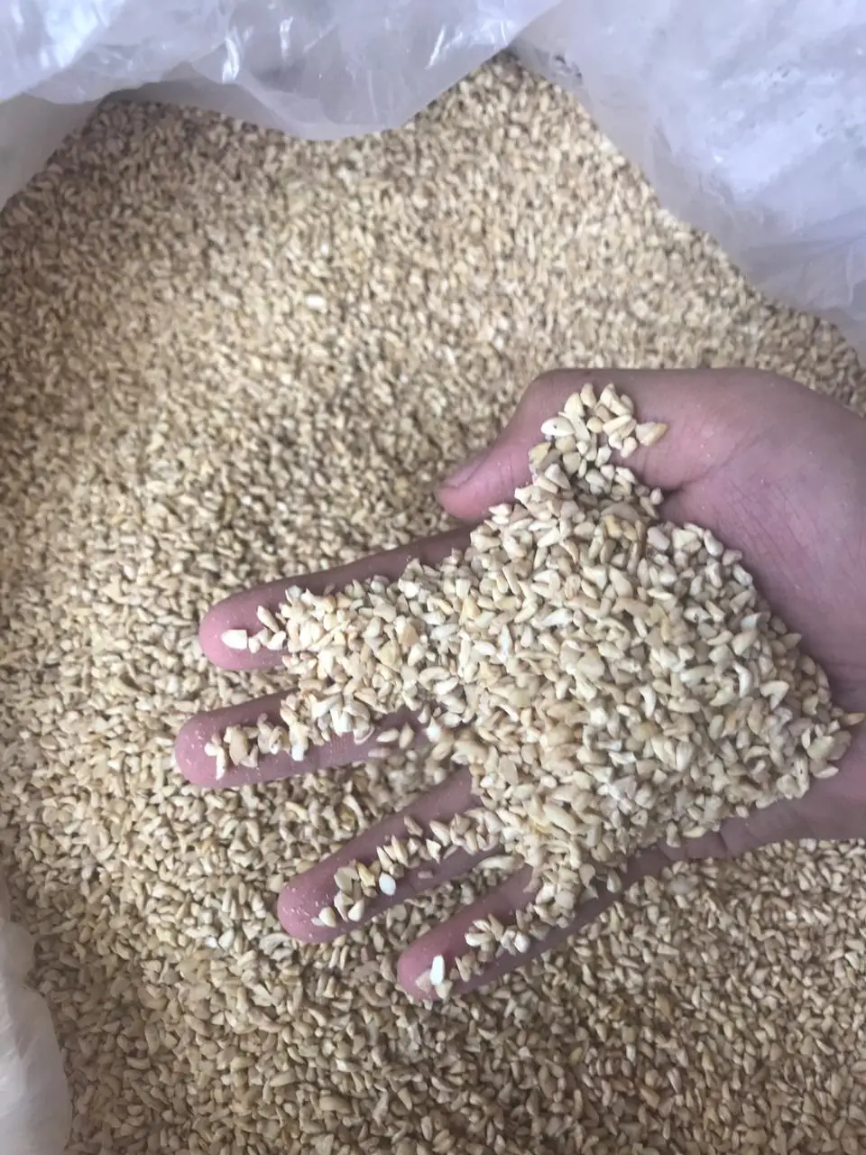 High Quality Low Fat Raw and Fresh Cashew Kernels Whole and Broken Fresh Nut Snack Best Price