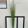 Erba di cipolla da 80 cm