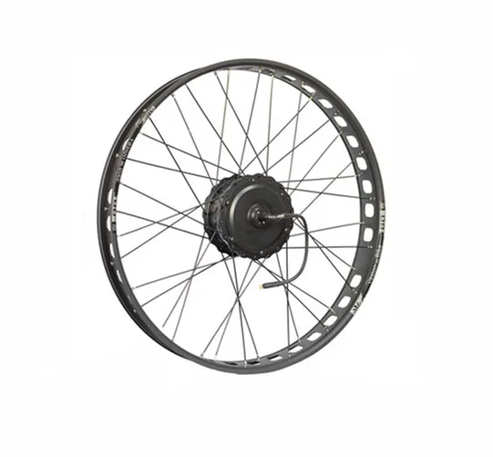 XF15 750W Geared Ebike Conversion Kit Electric Bicycle Part for Snow Bike Ebike Kit for Fat Bike