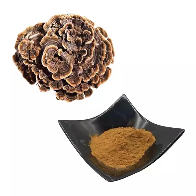 Turkey Tail Extract Coriolus Versicolor Extract Polysaccharide Krestin