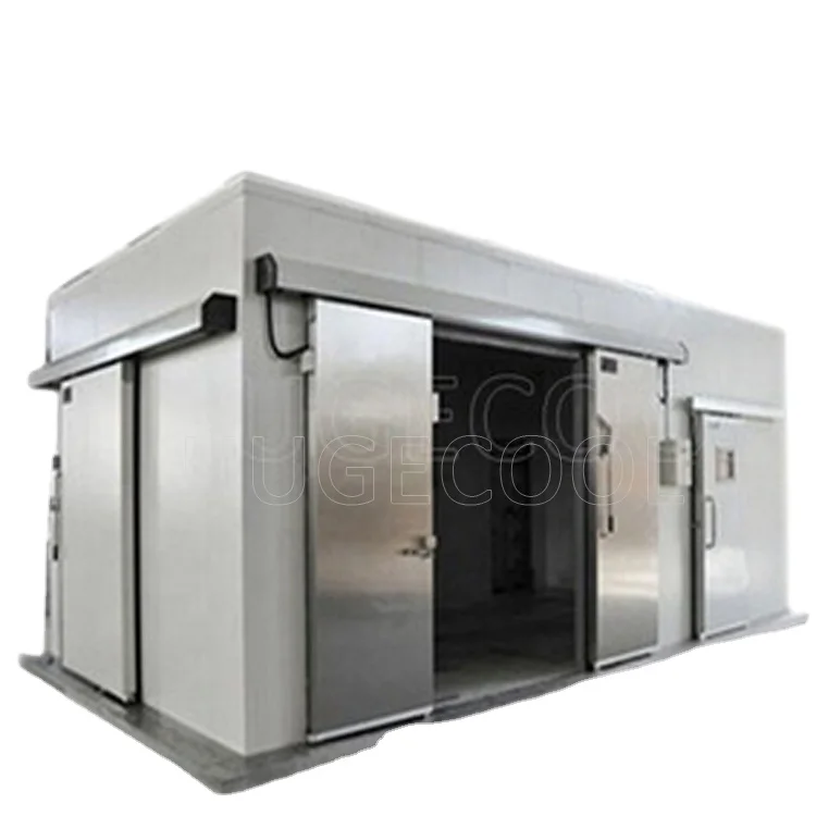 Hugecool Cold Room Walk in Freezer Food Cold Storage Rooms for Meat Vegetable Fish and Fruit