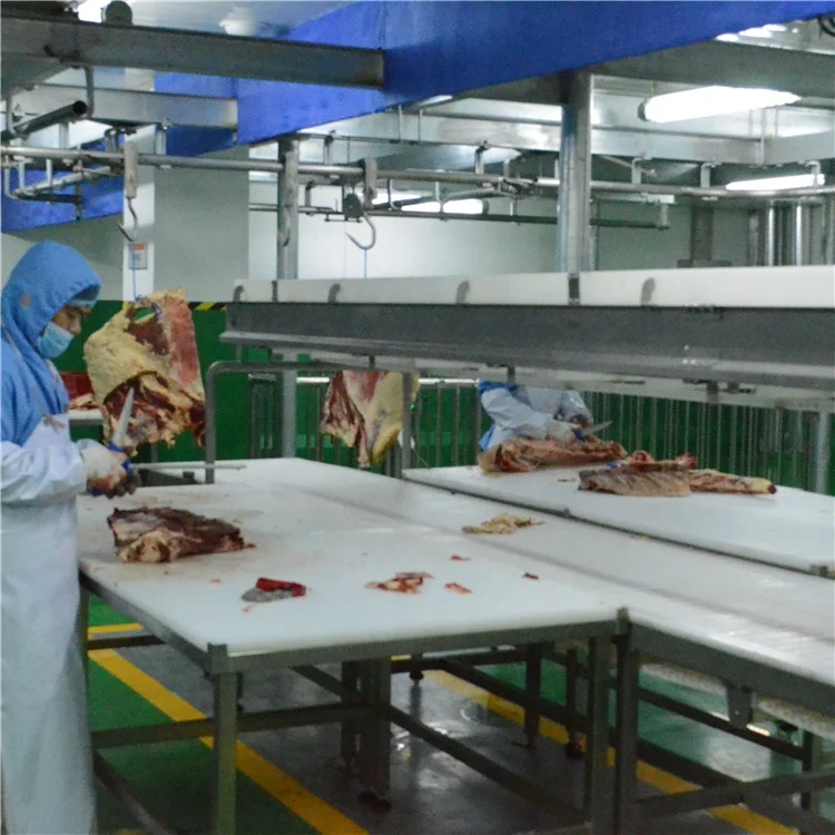 Customizable cattle slaughtering lines for modern slaughterhouses and meat processing plants
