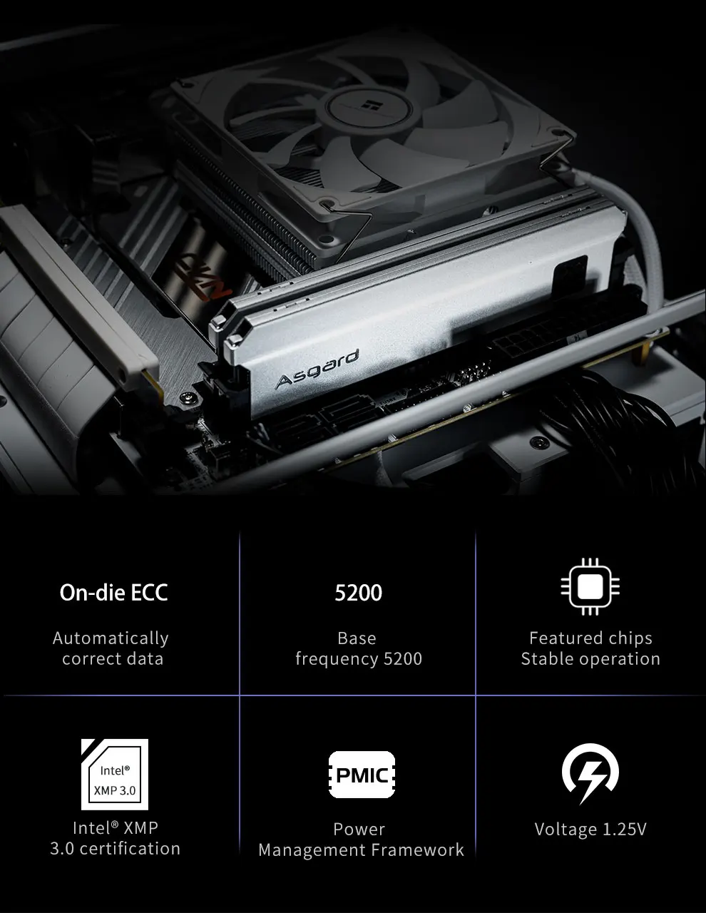 Asgard ddr5. Asgard ddr5