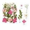 Light Pastel Pink