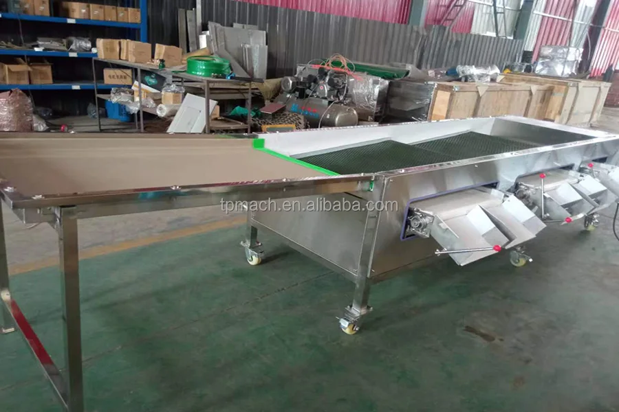 Blueberry Sorting Grading Machine Blueberry Grading Size Sorter Machine ...