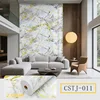CSTJ011
