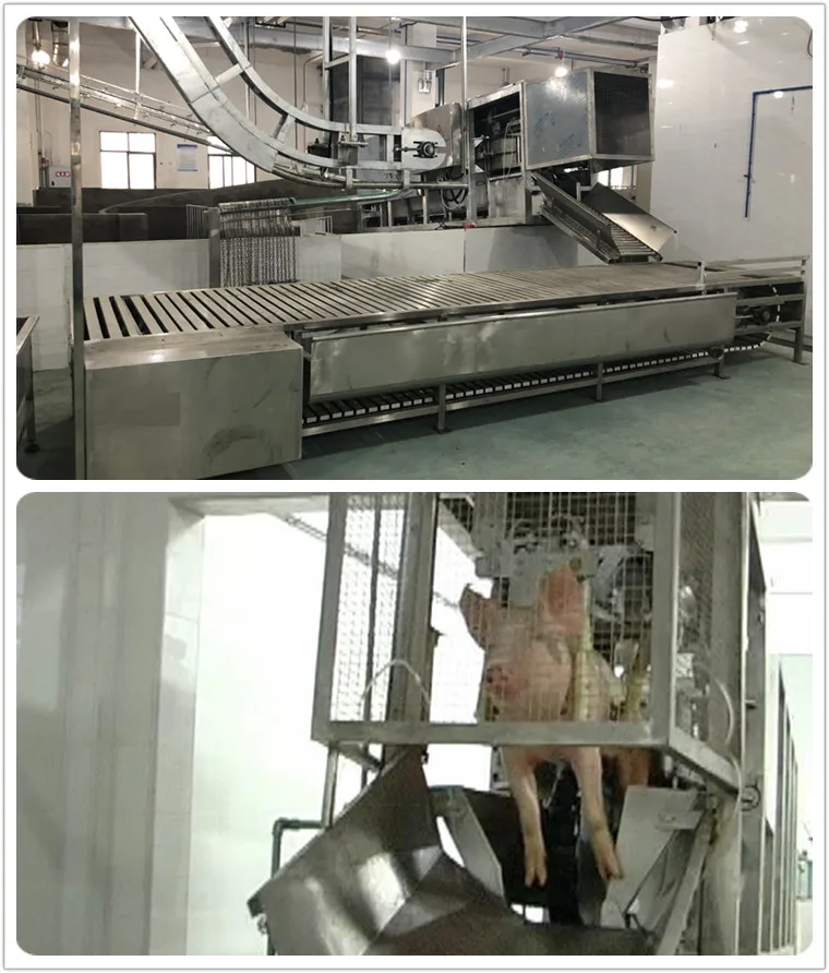Efficient Pig Slaughterhouse Complete Factory Level Pork Slaughtering Equipment