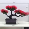 54# Beauty Pine Big Red (12 marrones rectangulares)