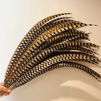 Natural Reeves Pheasant Tail Feather 100-110 cm for Carnival Headdress Samba Costume Accessory Plumas Largas De Faisan