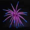 B 008