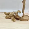 Leopardo floral de 18 cm, fragante, con tres posturas y cinco colores.