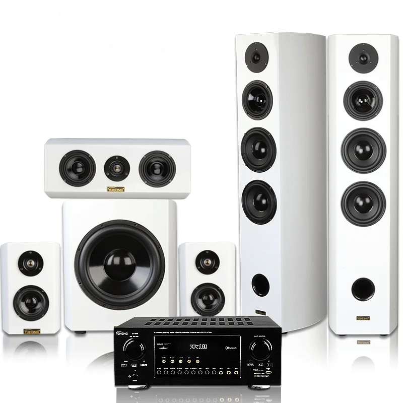 5.1 home theater with 12 inch subwoofer