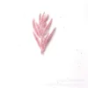 FD-W3    เอฟดี-ดับเบิลยู3