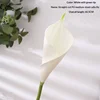 White green tip