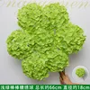 Rama de hortensia de paleta verde claro