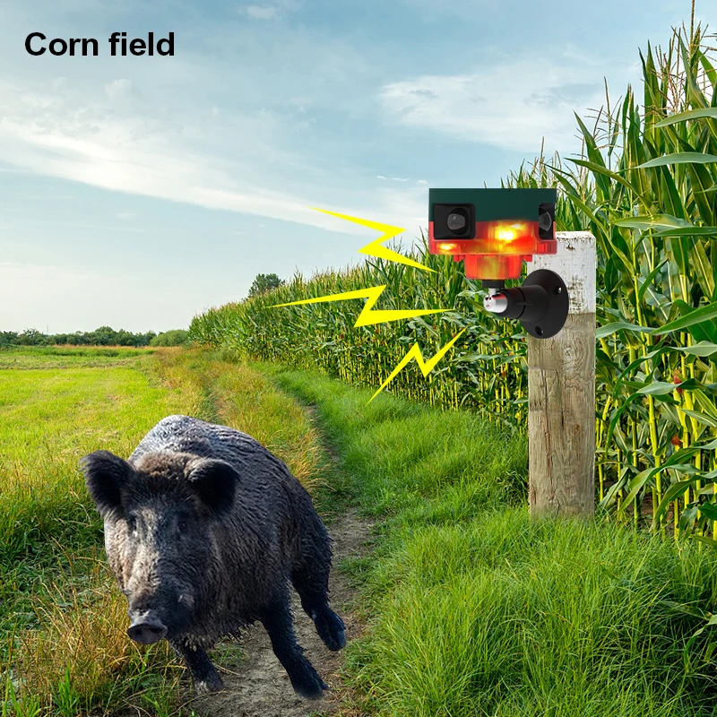 Solar-Powered Ultrasonic Animal Repeller For Garden - Repels Cats, Dogs, Foxes, Pests 9 thumbnail image