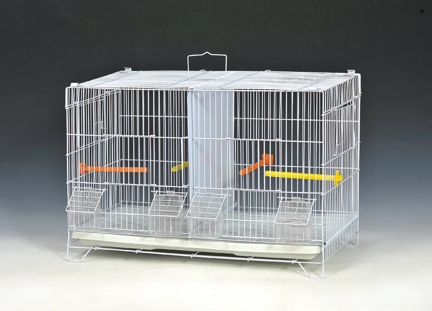 DISEASES OF CAGE AND AVIARY BIRDS レア本 DISEASES OF CAGE AND AVIARY BIRDS レア本