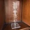 Transparent