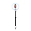 26cm Desktop Clip-on Light (Round Knob)
