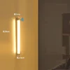20cm charging model - warm light