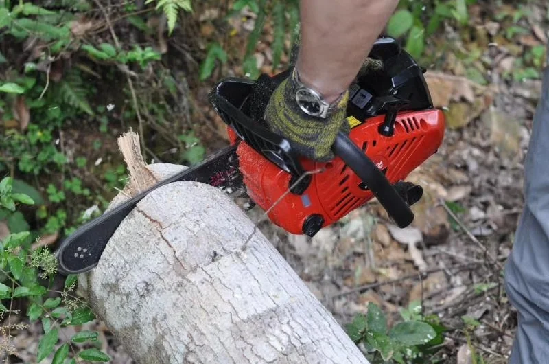 Petrol 2500 Chainsaw 25CC Gasoline Chainsaw Mini Handheld Chain Saw Wood Carving Machine Saw for Sale