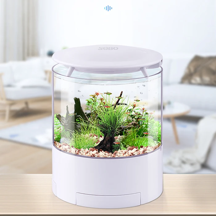 desktop fish tank with filter