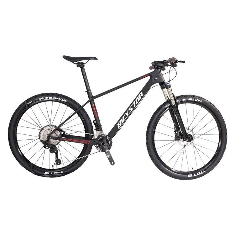 29 Inch Carbon Fibre Mountain Bike / 29'' Carbon Frame Mtb Bike Bicycle