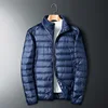 Dark blue1