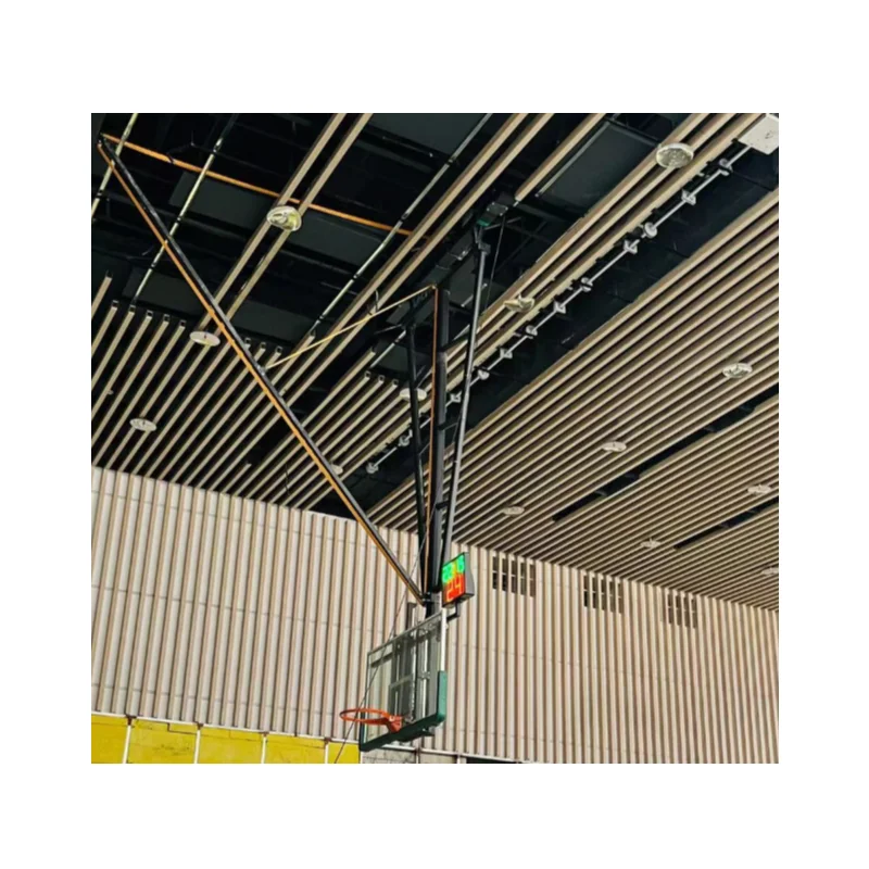 Electric Control Retractable Hanging Basketball Hoop/Electronically Controlled Ceiling Mounted Basketball Basketball Stand