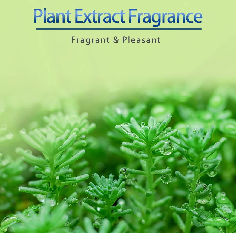 Pleasant Plant Extract Fragrance