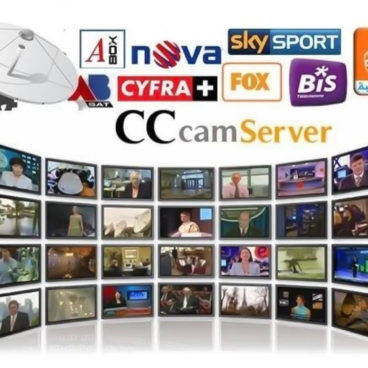 Egygold Cccam Oscam 8 Lines For Poland Germany Uk Italy Netherlands