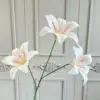Blanco-rojo