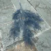 Dusty Blue, 6 ส้อมหมอกสีเทาฟ้า