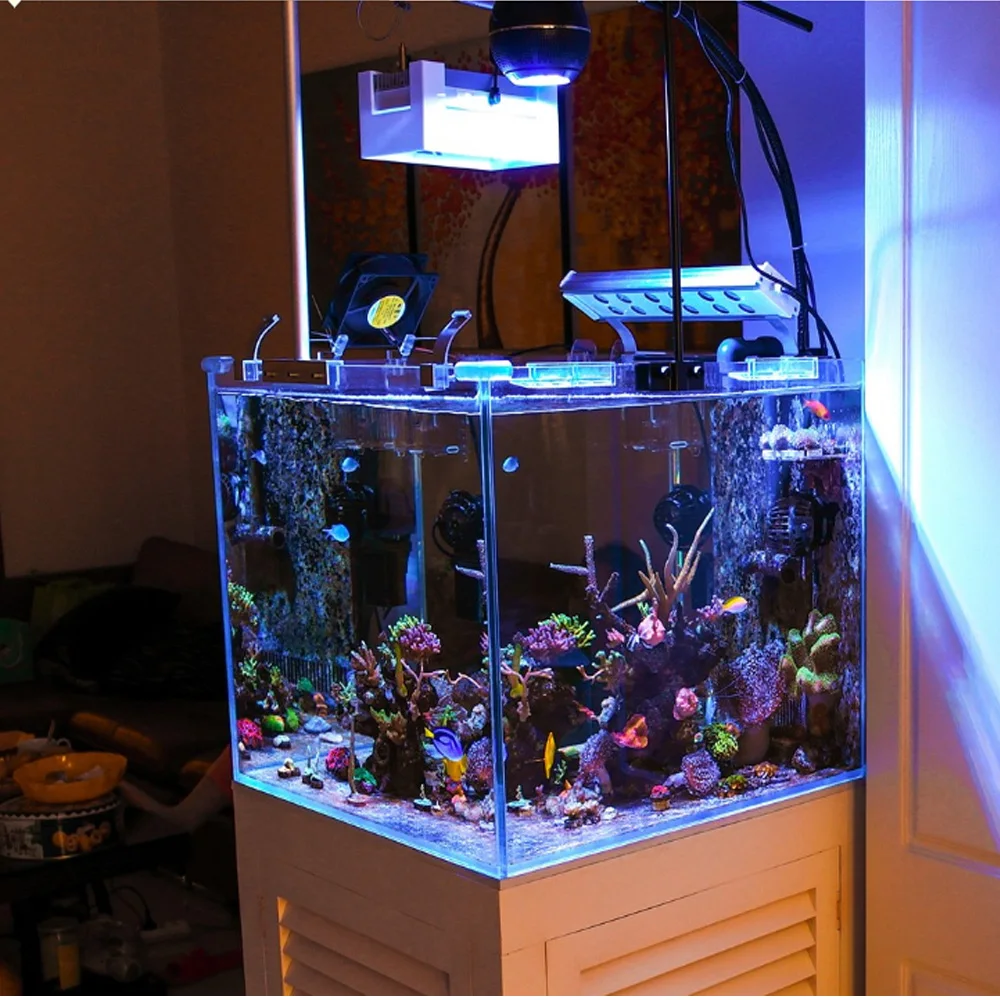 NISSO LED Liner Aquarium Set　ＬＥＤ熱帯魚セット NISSO LED Liner Aquarium Set LED熱帯魚セット ニッソー LED