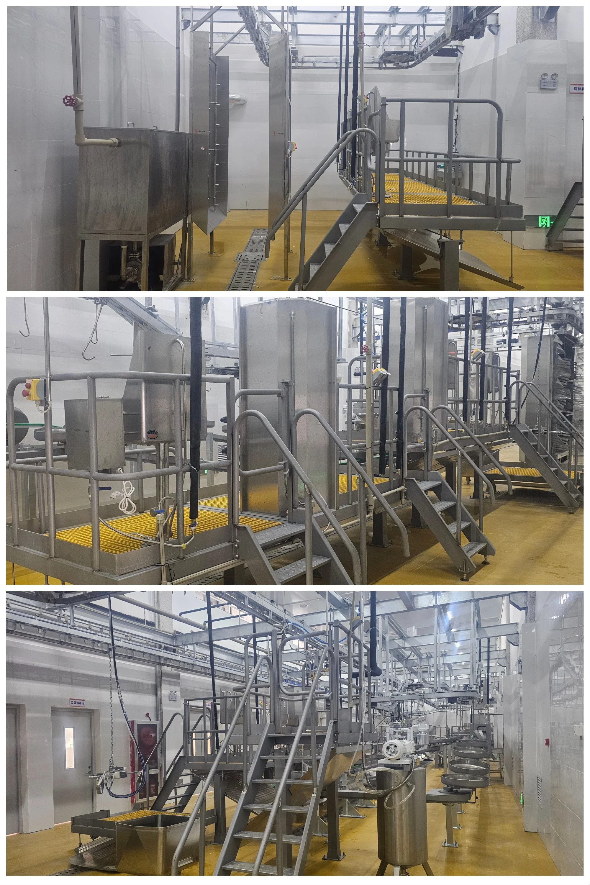 New complete pig slaughtering equipment for slaughterhouses and meat processing plants