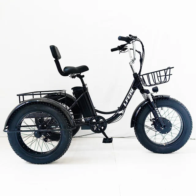 20 Front 20 Rear All-terrain Electric Snow Trike with 48V 500W Motor Lithium Battery Power Supply for Winter Adventures