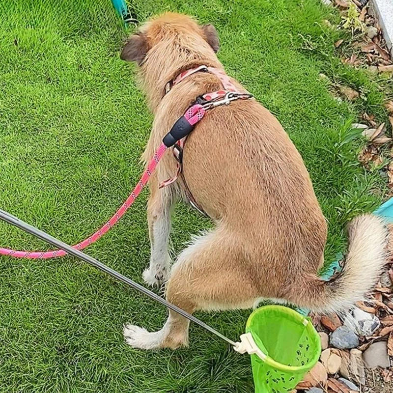 New Dog Poop Collector Outdoor Free Bending Dog Toilet Pick up Pet Walking Dog Shovel Poop Tool