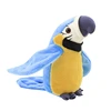 loro azul