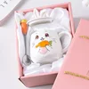 C cartoon rabbit + gift box set