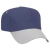 Paon Bleu