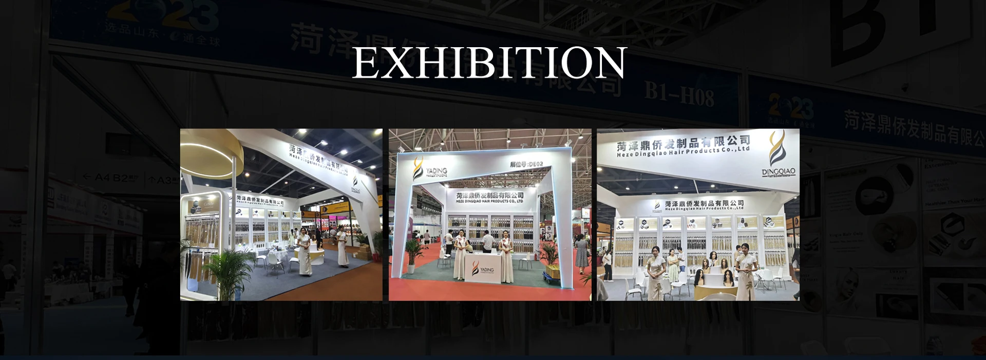 Company Overview Heze Dingqiao Hair Products Co., Ltd.