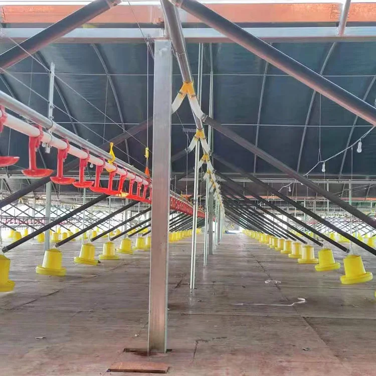 Оборудование для курятника птицефермы система подачи и питья цыплят простые кормушки