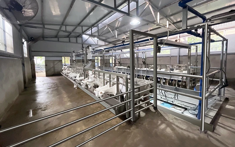 Digital electric meter New condition equipment sheep goat milking parlor for sale