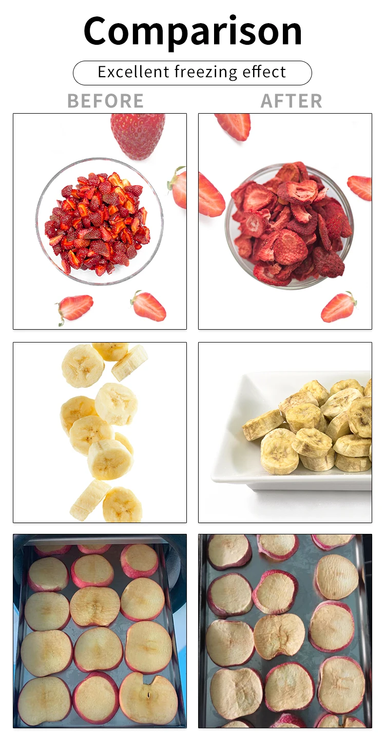 Home Lyophilization Homemade Food Freeze Dryer Household Vacuum Pump