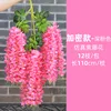 Glicine 11